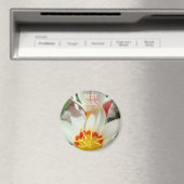 BESTE FREUND-MAGNET Tulpe-Blumen-Magnet-Geschenke Magnet (In Situ (Geschirrspüler))
