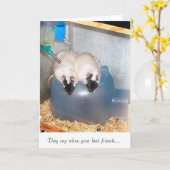 Beste Freunde 1 Karte (Gelbe Blume)