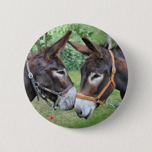 Beste Freunde des Esels Button (Vorderseite)