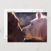 Beste Freunde Equine Post Card Postkarte (Vorne/Hinten)