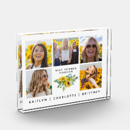 Beste Freunde für immer 5 Fotocollage Block