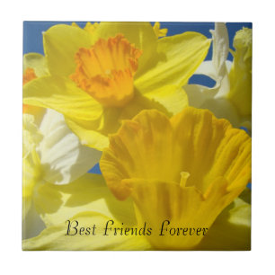 Beste Freunde für immer Geschenke Narzissen Blumen Fliese