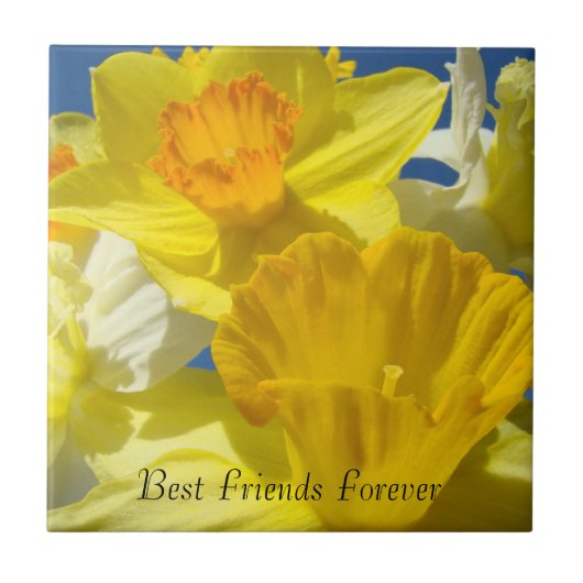 Beste Freunde für immer Geschenke Narzissen Blumen Fliese (Vorderseite)