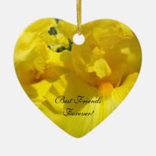 Beste Freunde für immer! Geschenke Ornamente Danke