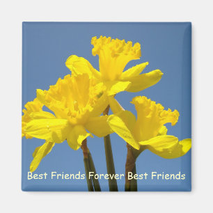 Beste Freunde für immer Magnete Beste Freundin Magnet