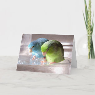 Beste Freunde für immer Parrotlet Vogel-Gruß-Karte Karte