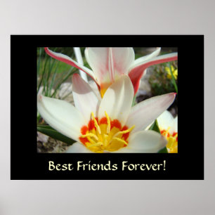 BESTE FREUNDE FÜR IMMER! Tulip Blume Kunstdrucke Poster