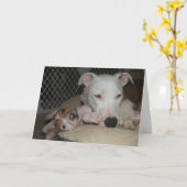 Beste Freunde… Karte (Gelbe Blume)