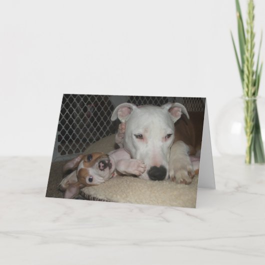 Beste Freunde… Karte (Vorderseite)