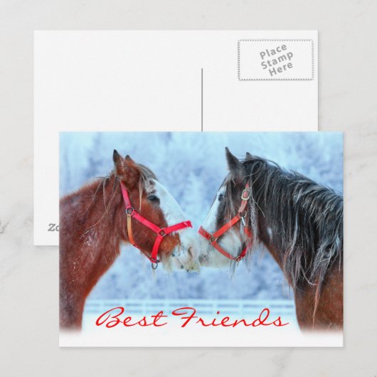 Beste Freunde Postkarte (Vorne/Hinten)