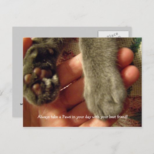 Beste Freunde Postkarte (Vorne/Hinten)