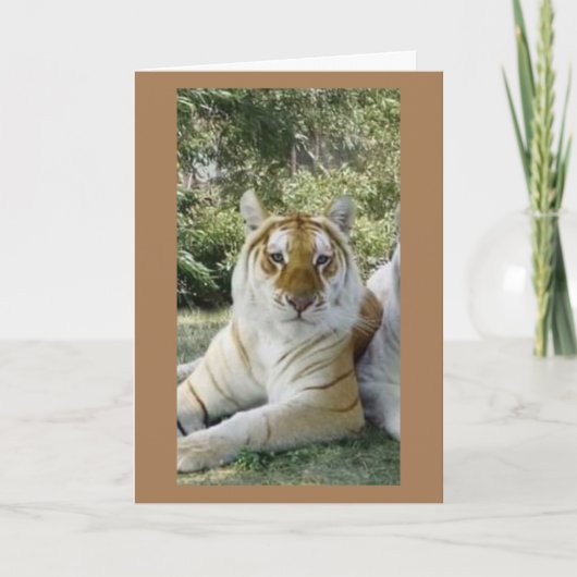 **BESTE FREUNDE** SCHWERE GEBURTSTAGSWEISEN KARTE (Vorderseite)