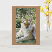 **BESTE FREUNDE** SCHWERE GEBURTSTAGSWEISEN KARTE (Gelbe Blume)