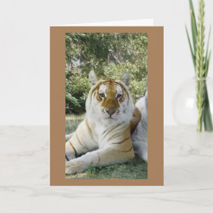 **BESTE FREUNDE** SCHWERE GEBURTSTAGSWEISEN KARTE