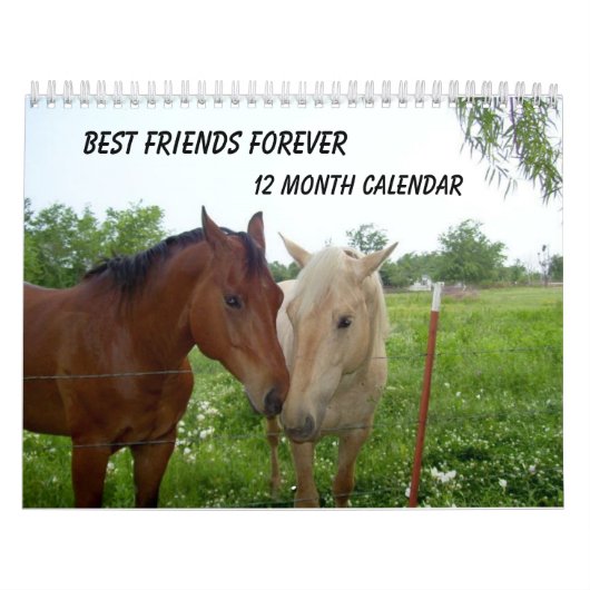BESTE FREUNDIN-Best Friends Forever - 12 Monate Ka Kalender (Titelbild)