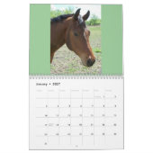 BESTE FREUNDIN-Best Friends Forever - 12 Monate Ka Kalender (Jan 2027)