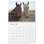 BESTE FREUNDIN-Best Friends Forever - 12 Monate Ka Kalender (Feb 2027)
