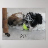BESTE FREUNDIN Best Friends Puppy Poster (Vorne)
