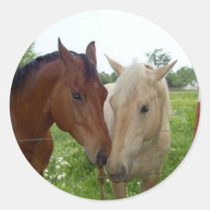 BESTE FREUNDIN Beste Freunde für immer - Pferde Runder Aufkleber