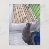 Beste Freundin Postkarte (Vorderseite)