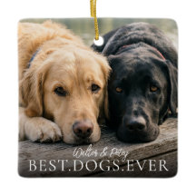 Beste Hunde Aller Zeiten Name und Foto deines Haus