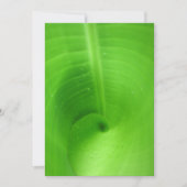 Beste Karte 5" x 7" (Vorderseite)