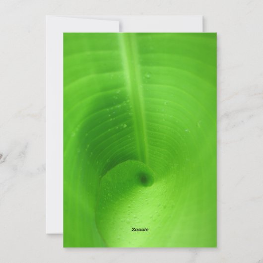 Beste Karte 5" x 7" (Rückseite)