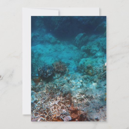 Beste Karte 5" x 7" (Vorderseite)