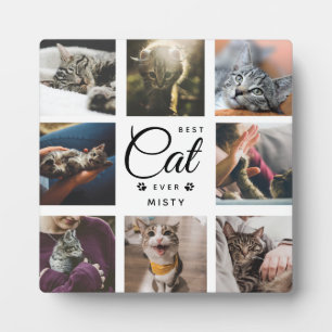 Beste Katze Aller Zeiten Andenken Geschenk Modern Fotoplatte