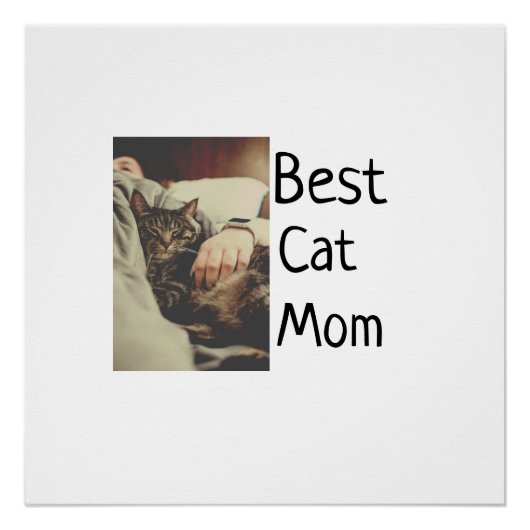 Beste Katze Mama Papa Cat Foto Namensgeschenk Vorl Poster (Vorderseite)