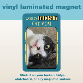 Beste Katzen-Mutter macht Foto blau gelb Magnet