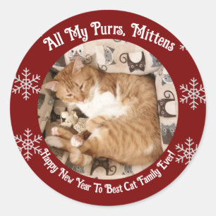 Beste Katzenfamilie überhaupt, Katzenfoto, Runder Aufkleber