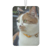 Beste Katzenmutter macht Foto grau Autolufterfrischer (Rückseite)