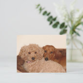 Beste Kauffrau Postkarte (Stehend Vorderseite)