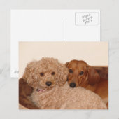 Beste Kauffrau Postkarte (Vorne/Hinten)