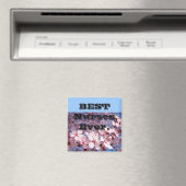 Beste Krankenschwestern je Magnete Geschenke Pfleg Magnet (In Situ (Geschirrspüler))