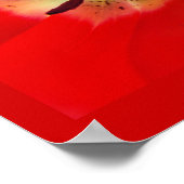 Beste Krankenschwestern je Plakatbanner Tulip-Blum Poster (Ecke)