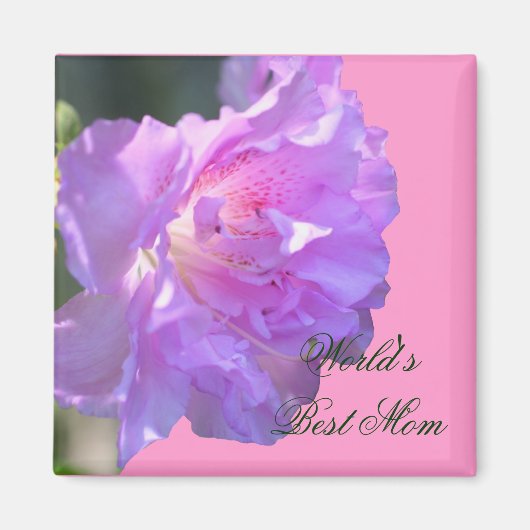 Beste Mama Rosa Azalea Blume Foto Magnet (Vorne)
