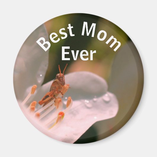 Beste Mutter überhaupt Grashüpfer auf Azaleenblüte Magnet (Vorne)
