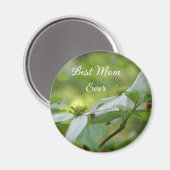 Beste Mutter überhaupt Hartriegelblüte Magnet (Vorderseite/Rückseite)