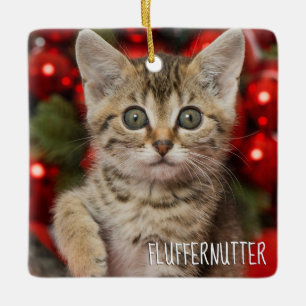 Beste Personalisierte Bildkat Kitten + Name Foto Keramikornament
