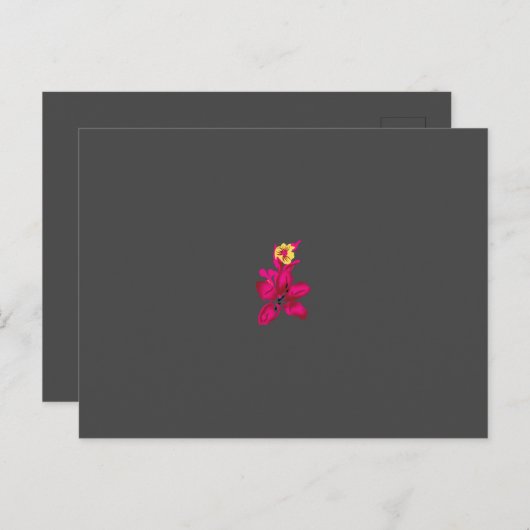 Beste Postkarte (Vorne/Hinten)