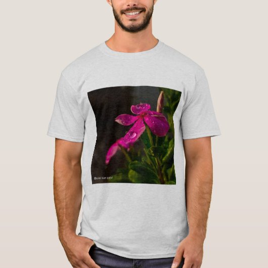 Beste T-Shirt (Vorderseite)