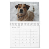 Beste Tatze schicken Kalender 2019 nach (Jan 2027)