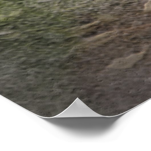 Beste Vogeljagd in Upland Poster (Ecke)