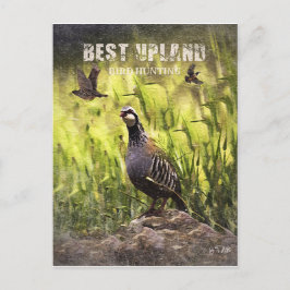 Beste Vogeljagd in Upland Postkarte