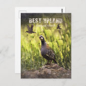 Beste Vogeljagd in Upland Postkarte (Vorne/Hinten)