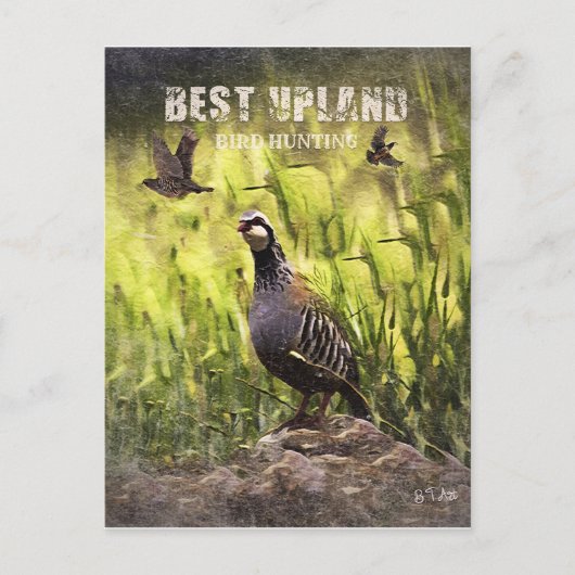 Beste Vogeljagd in Upland Postkarte (Vorderseite)