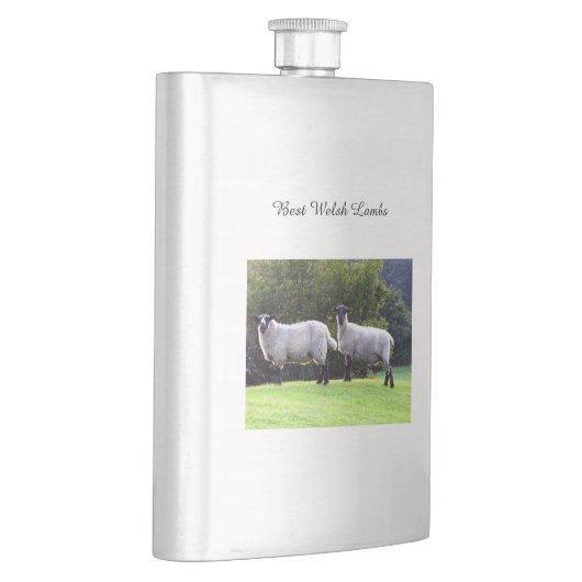 Beste walisische Lämmer. Flachmann (Rechts)