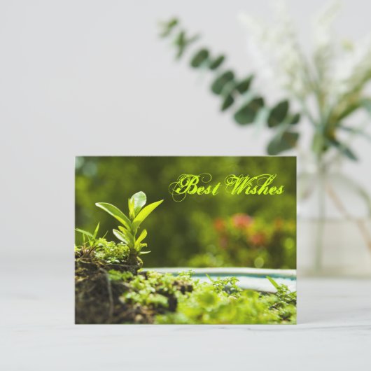 Beste Wünsche - Postkarten (Stehend Vorderseite)